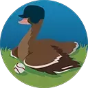 RyzeWTH_PSN